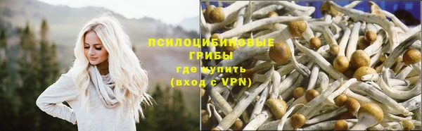 соль курить ск Вяземский