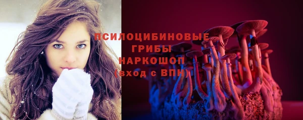 ПСИЛОЦИБИНОВЫЕ ГРИБЫ Вязники
