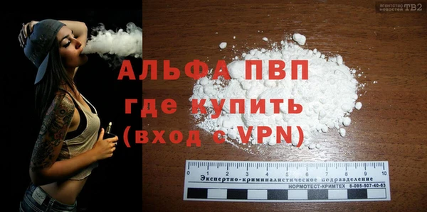 ПСИЛОЦИБИНОВЫЕ ГРИБЫ Вязники