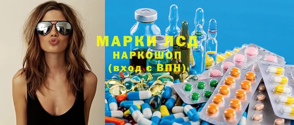 прущие грибы Переславль-Залесский